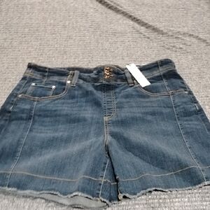 Chico's Dark Blue Jean Shorts